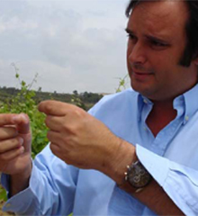 Marcelo Desvalls