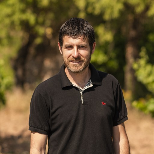Miquel Palau