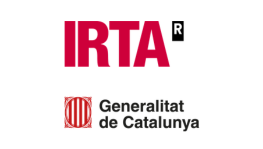 IRTA