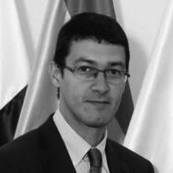 Mario Marcelo Regidor