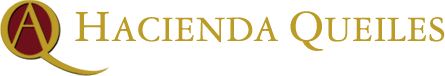 Logotipo Hacienda Queiles