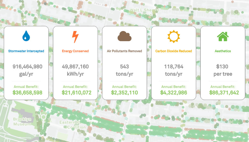 2015 Street tree census report.