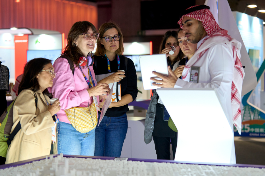 Attend as a Government Official