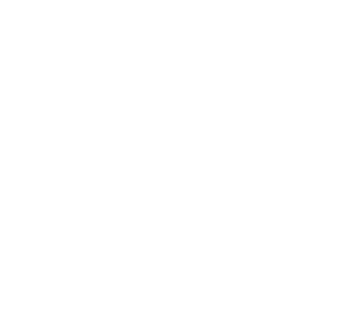Olive Oil Bar