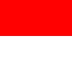 Representante de Indonesia .