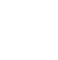 World Pin